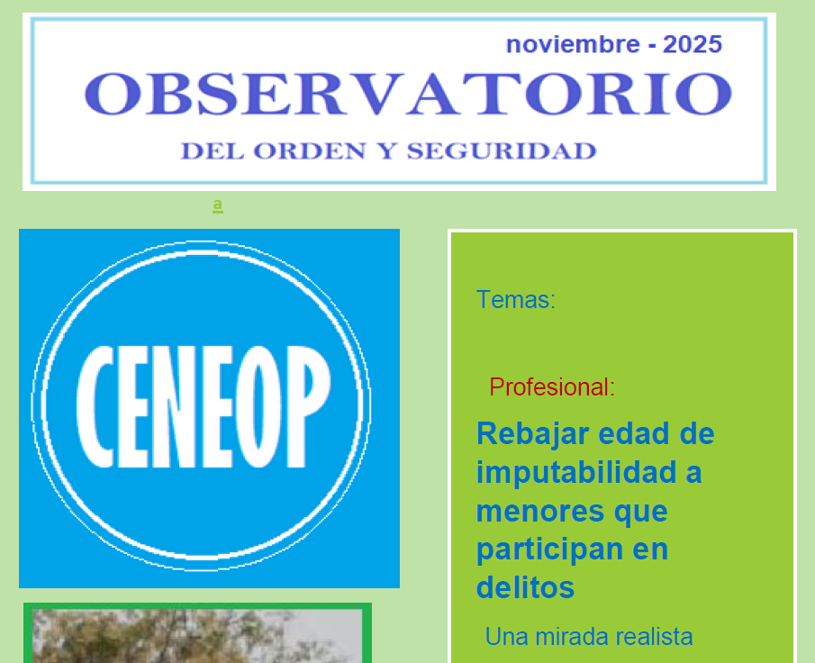 Revista Ceneop – noviembre 2025